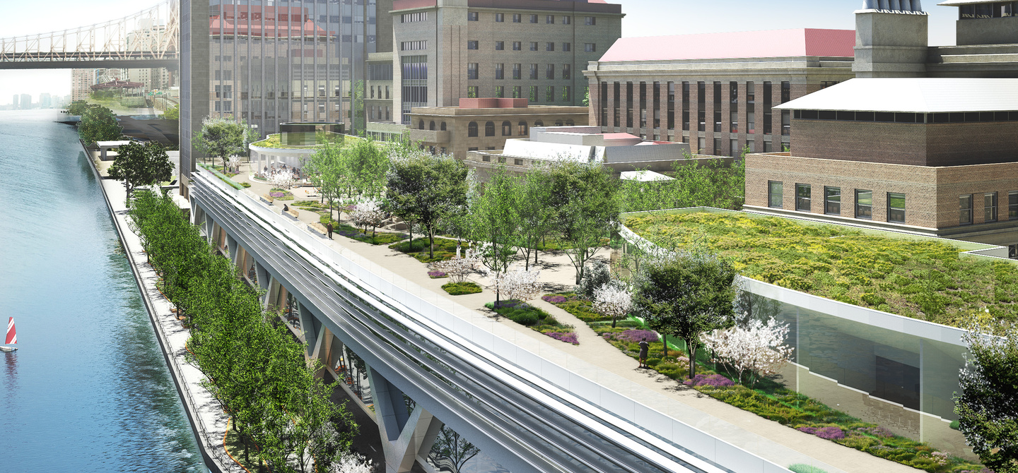 Rockefeller University, Stavros Niarchos Foundation David Rockefeller